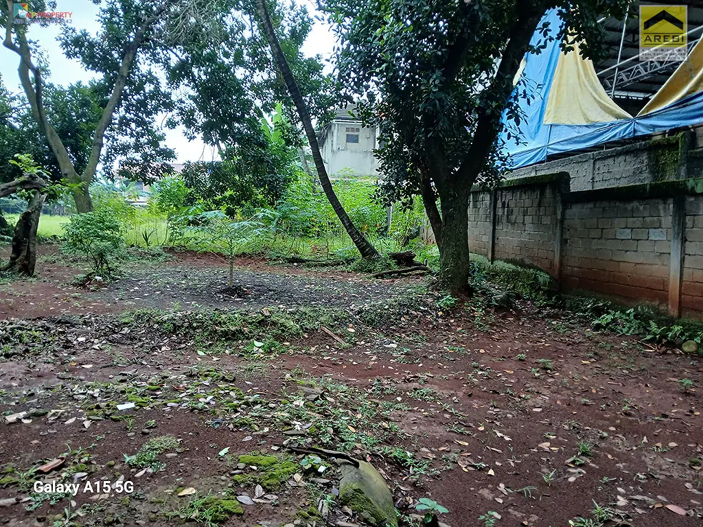 Uploaded file: 1000048536