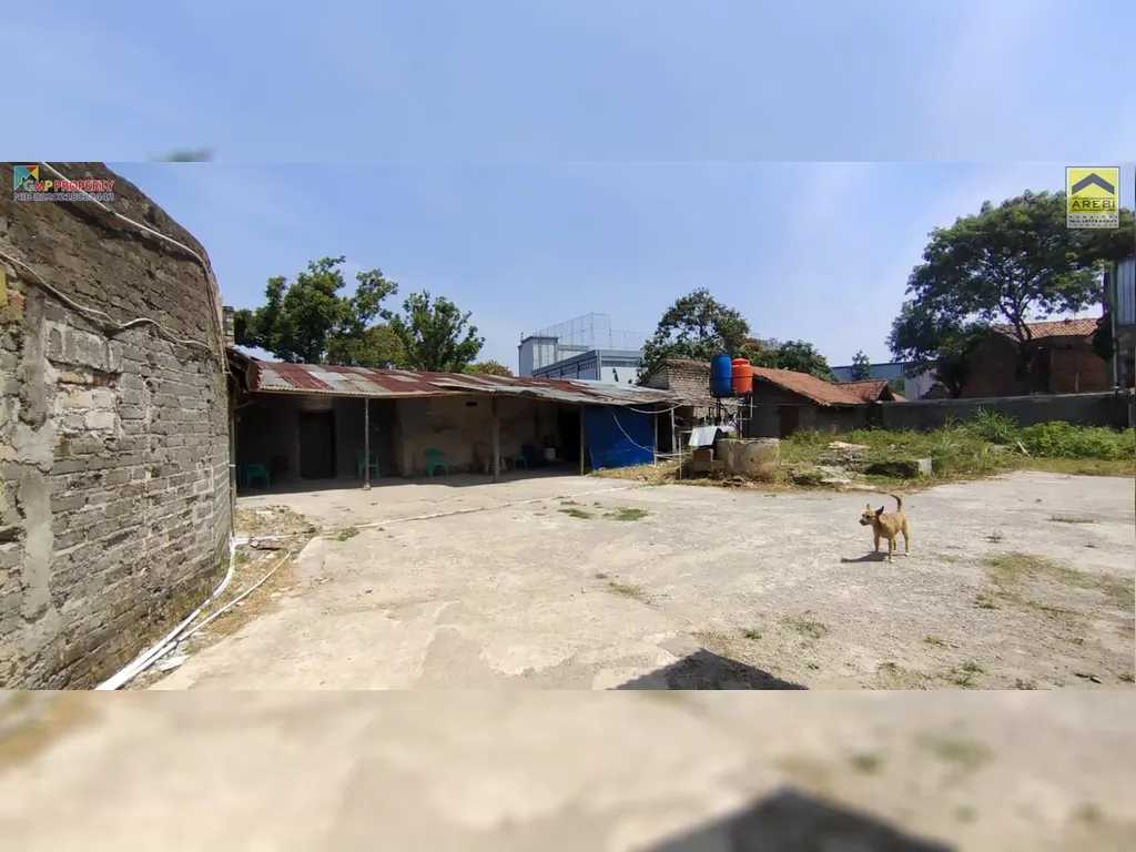 WhatsApp Image 2023-08-29 at 08.03.25.jpg