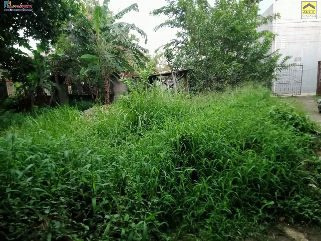 WhatsApp Image 2025-07-30 at 10.35.07 (1).jpeg