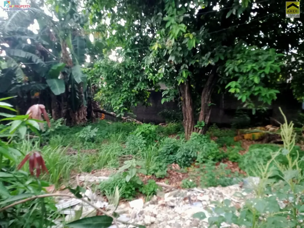 WhatsApp Image 2025-07-30 at 10.35.06 (2).jpeg