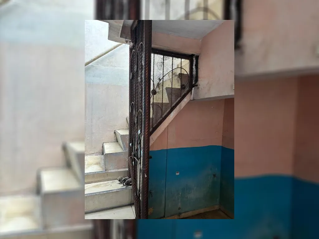 Perumahan Cileungsi Hijau 