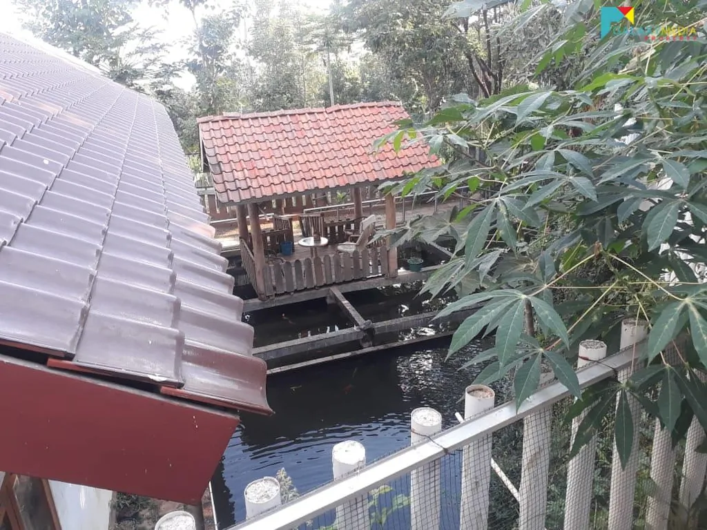Rumah Parakan muncang 1,8M 4.jpg