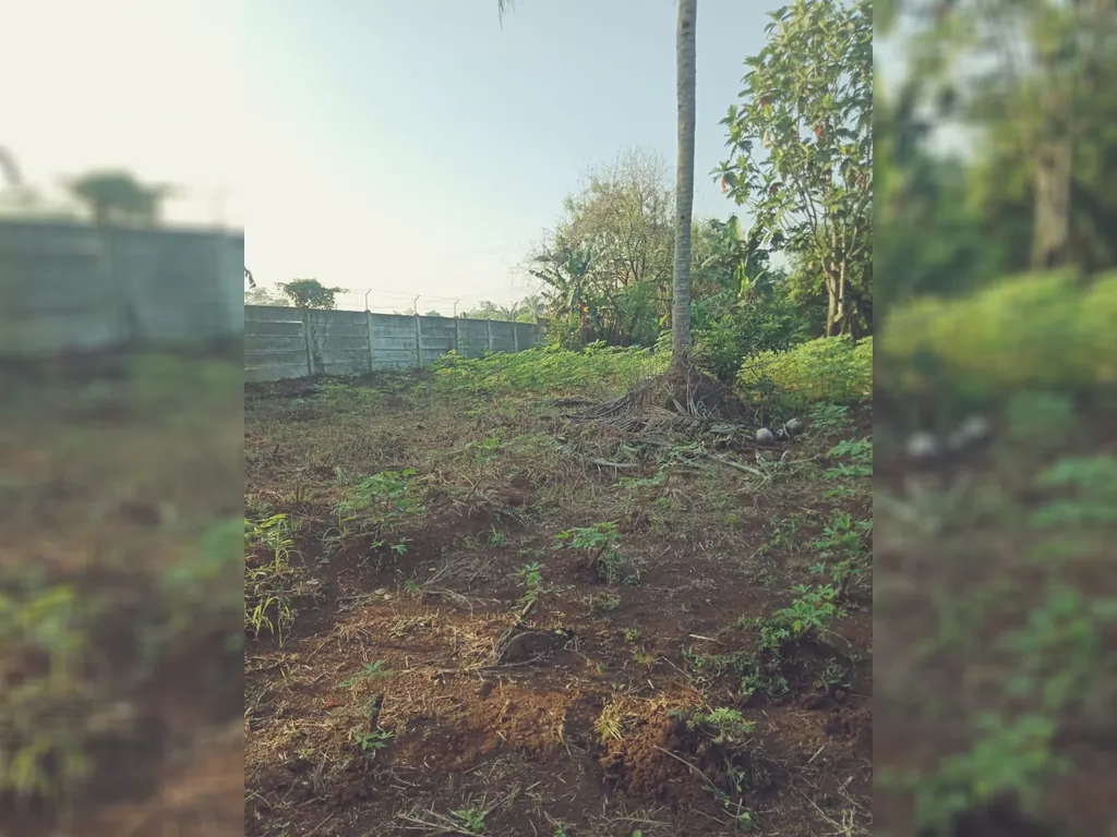 siscatanah sawangan12.jpg