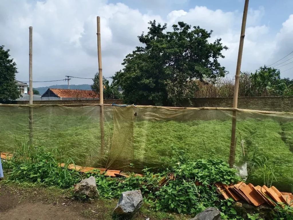 tanah kavling murah bogor (3).jpg