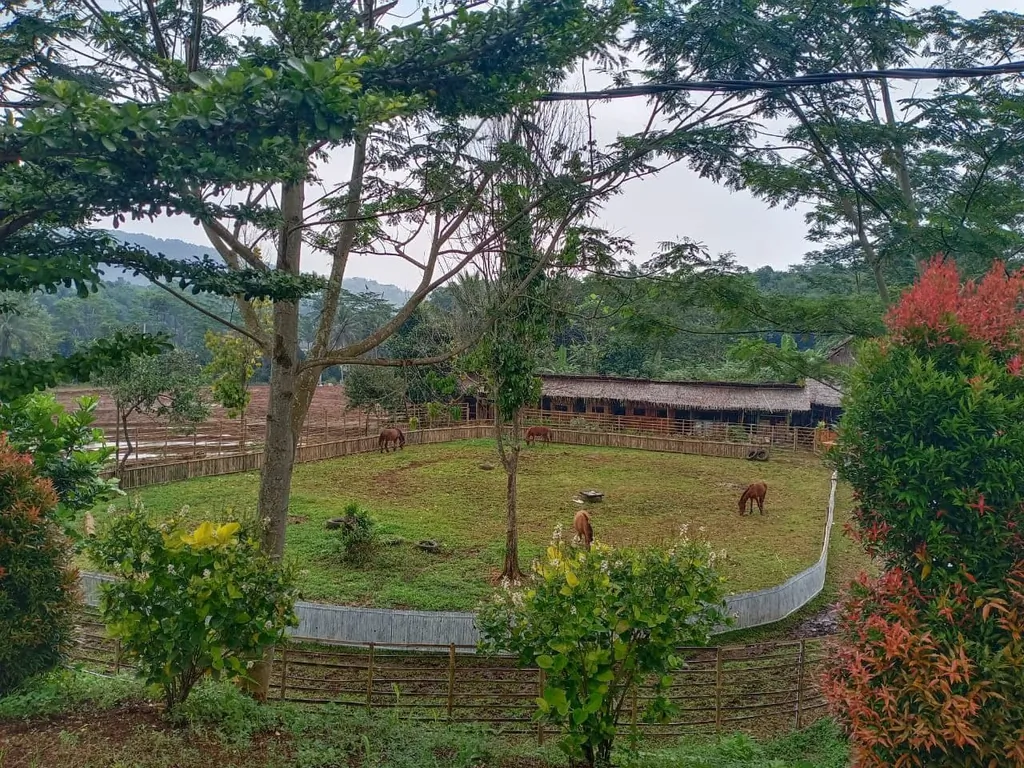 tanah kavling murah bogor (7).jpg