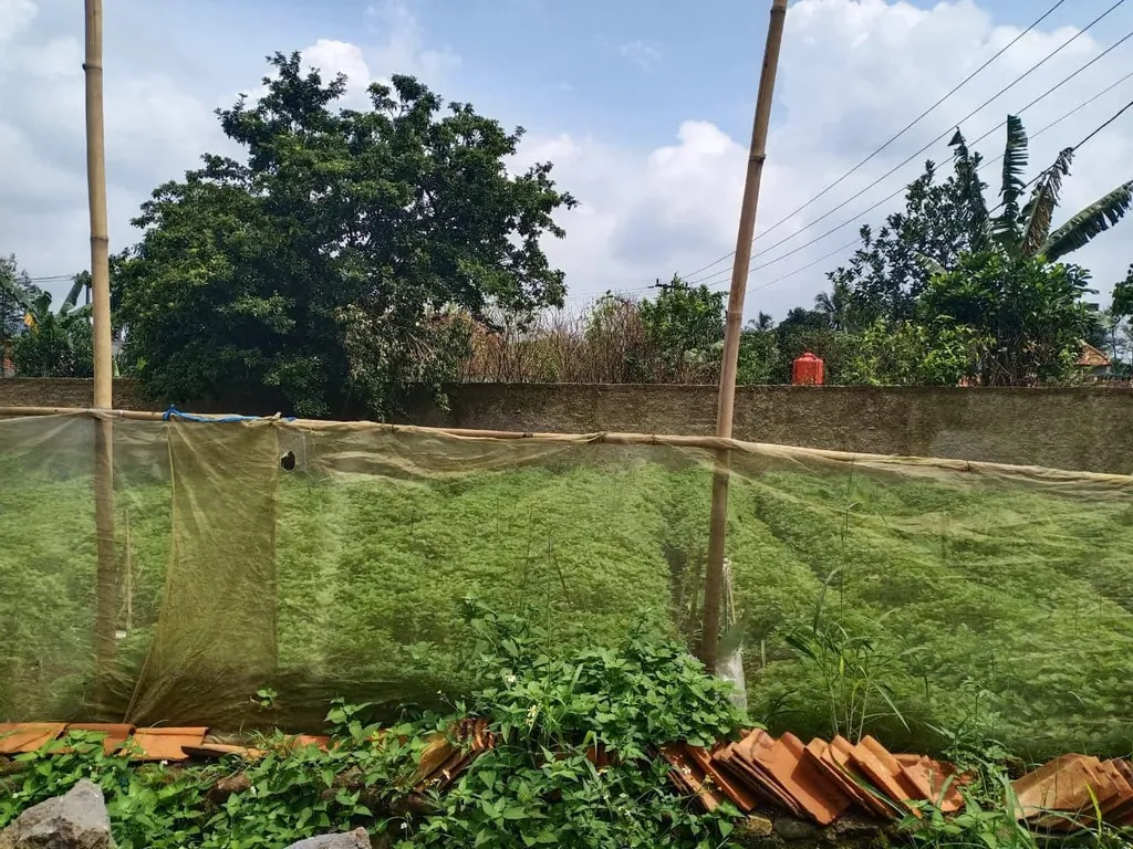 tanah kavling murah bogor (4).jpg