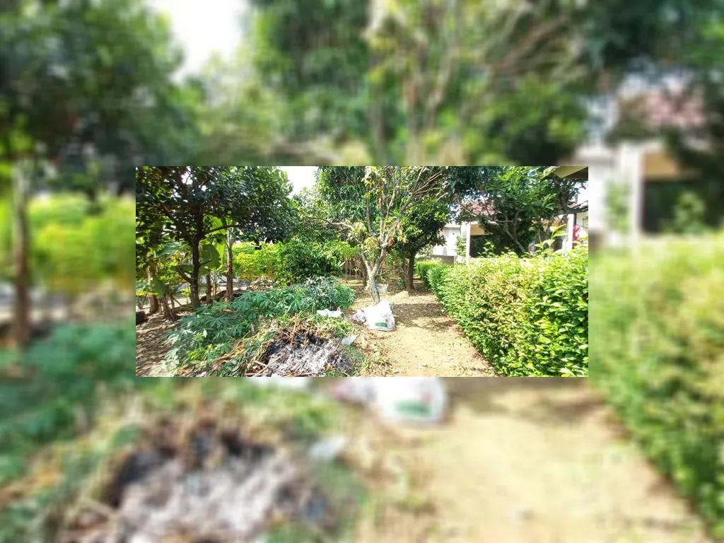 rumah dijual taman sari bogor (1).jpeg