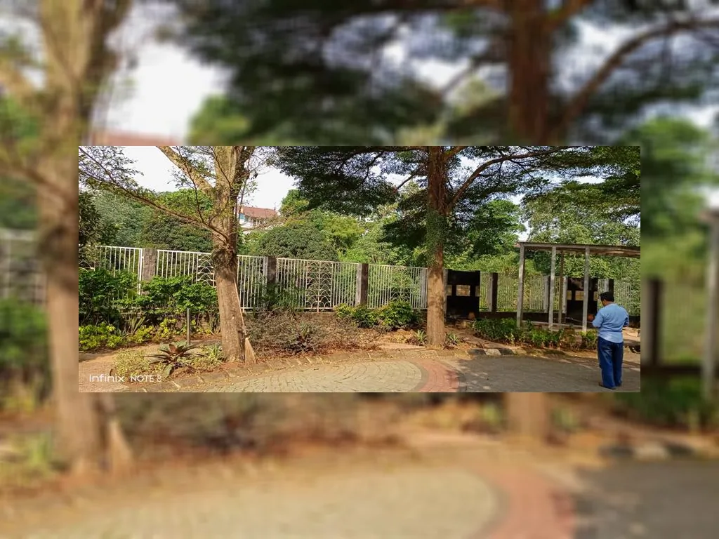 WhatsApp Image 2023-06-20 at 21.55.09.jpeg