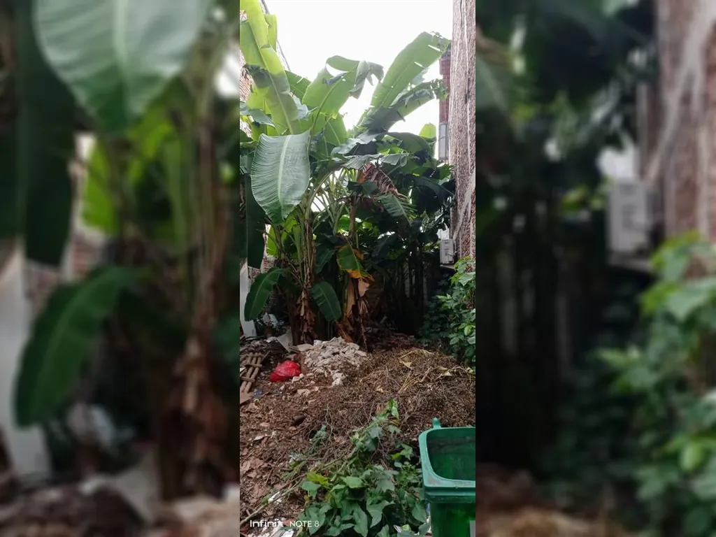 WhatsApp Image 2023-06-20 at 21.55.15.jpeg