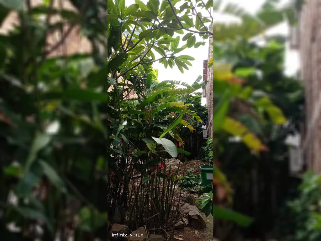 WhatsApp Image 2023-06-20 at 21.55.17.jpeg