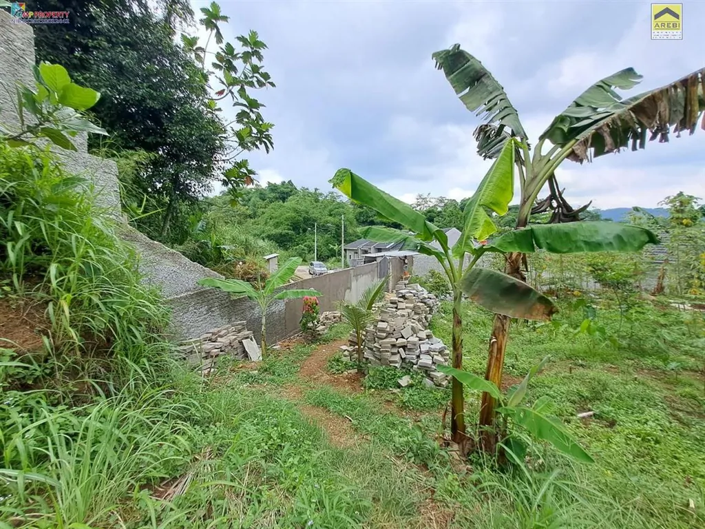 tanah dijual bogor 4.jpg