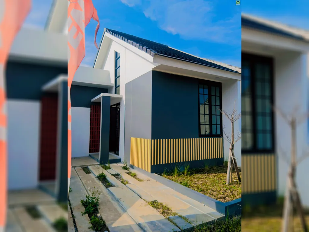 didinjae igg 1lt type japan.jpg