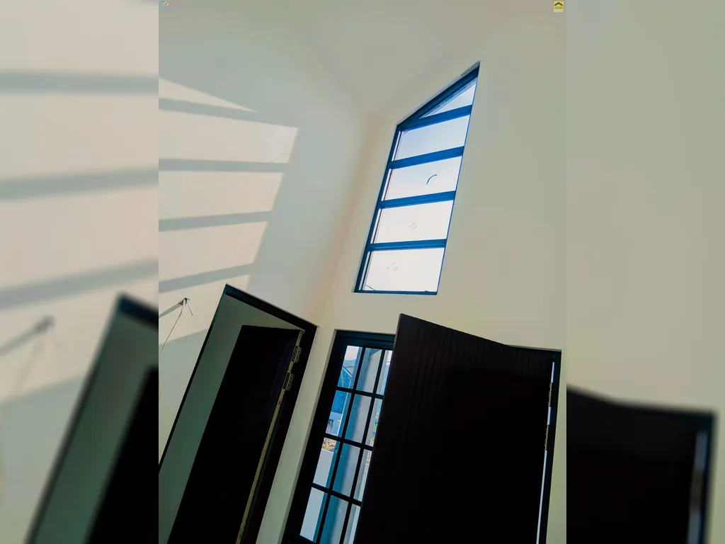 didinjae igg 1lt.jpg