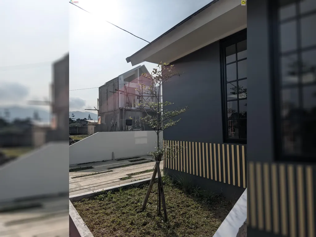 didnjae igg pagihari.jpg