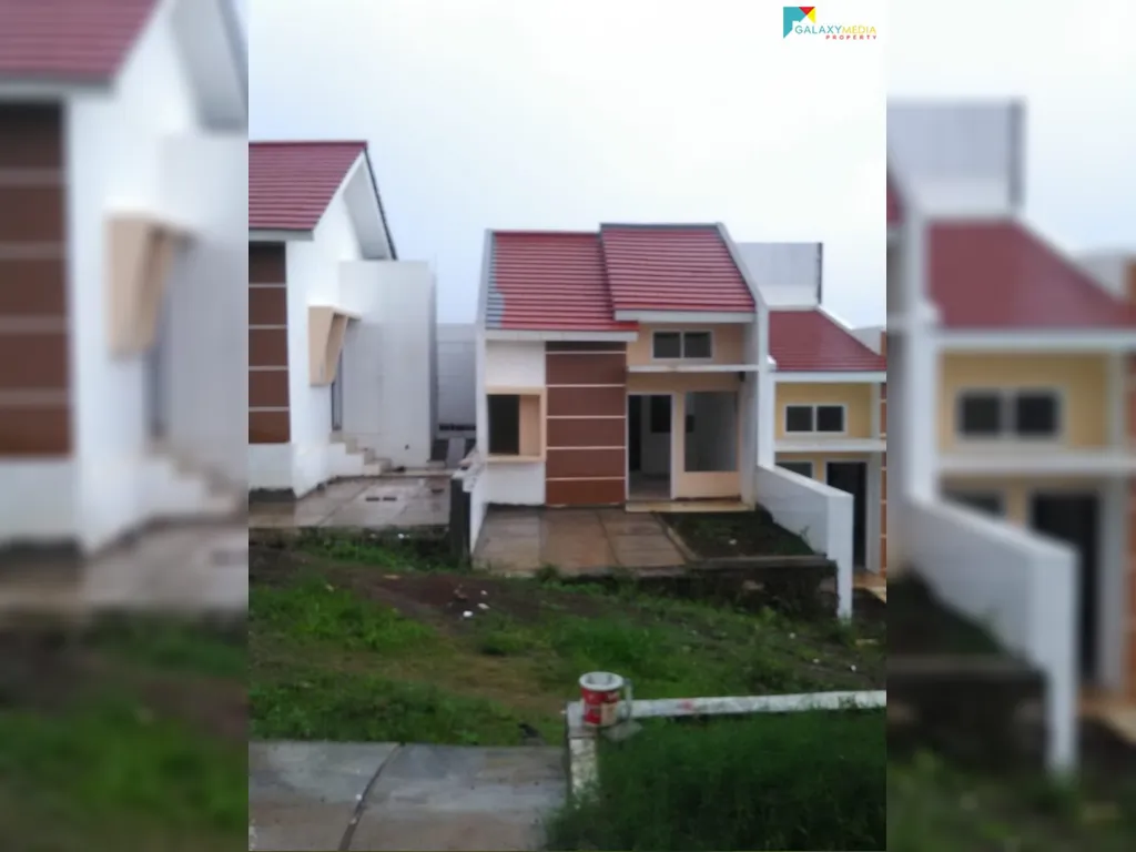 zunzun harmony paradise (3).jpeg