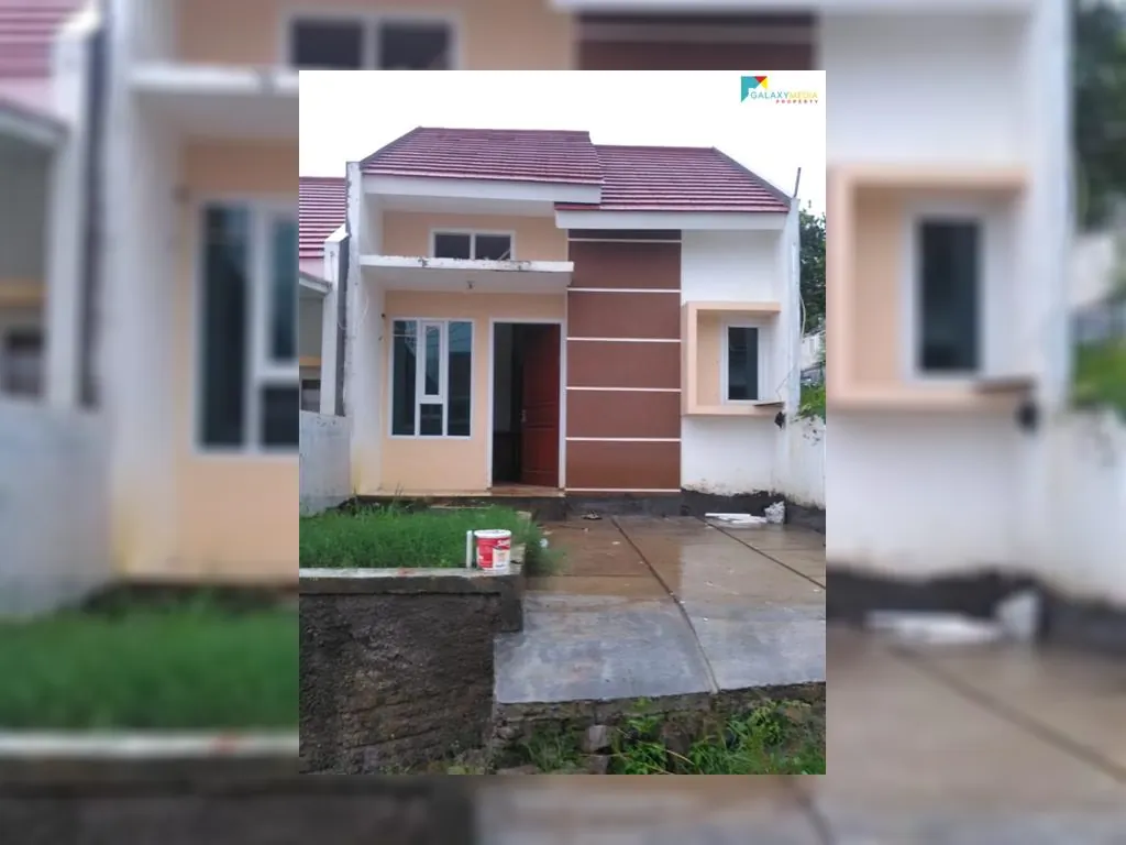 zunzun harmony paradise (4).jpeg