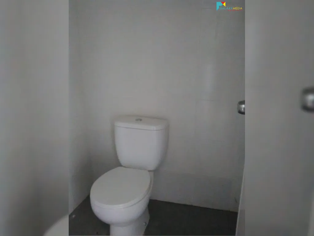 zunzun harmony paradise (5).jpeg