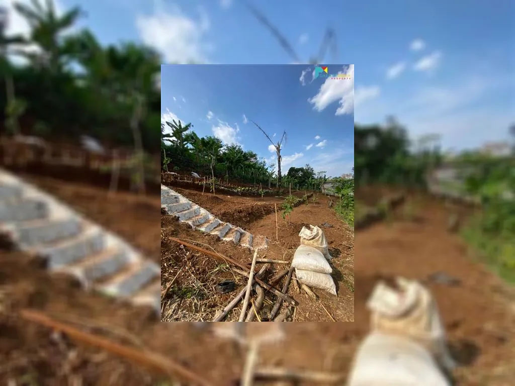 WhatsApp Image 2021-11-24 at 18.29.51.jpeg