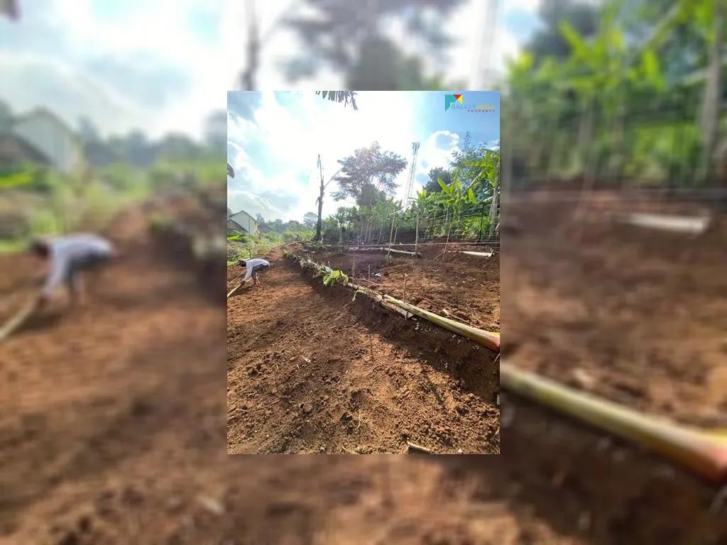 WhatsApp Image 2021-11-24 at 18.29.52.jpeg